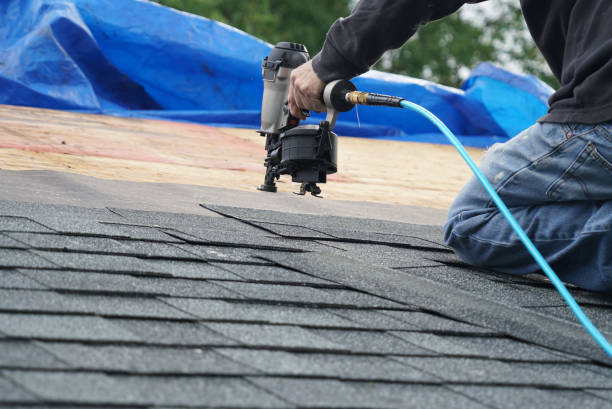 Best Metal Roofing Contractor  in Rangely, CO